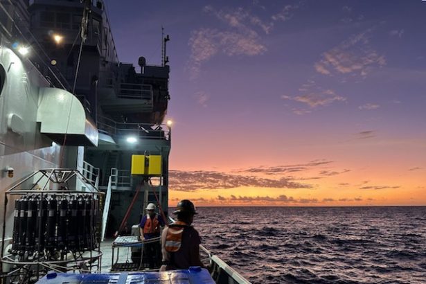 Ocean Warming Threatens Microbe That Makes Nearly a Third of Earth’s Oxygen