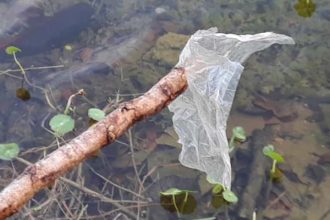 Using, Recycling, & Disposing Bags Responsibly