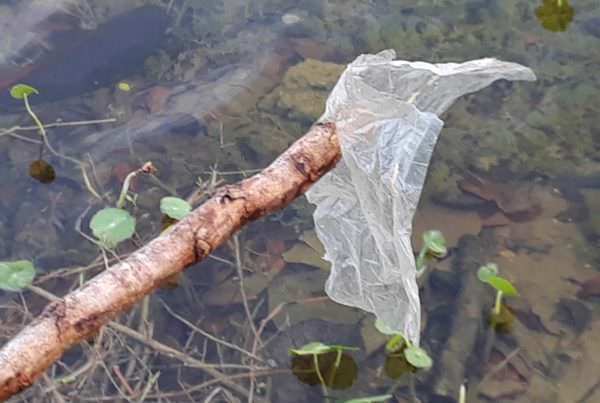 Using, Recycling, & Disposing Bags Responsibly