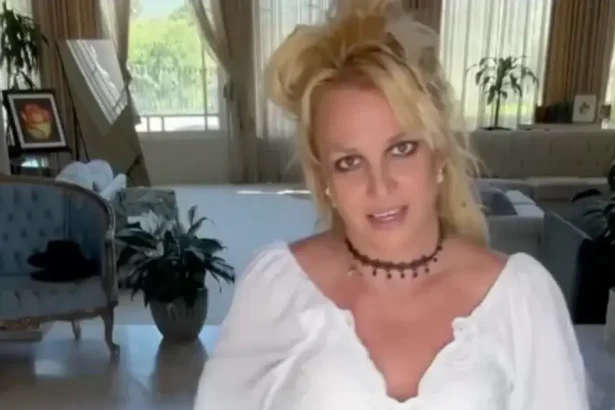 EXCLUSIVE: Britney Spears Death Fears — How Fallen Pop Star's Filthy Home and Hermit-Like Existence Sparks Fears She's Headed for Same Grim Fate as Gene Hackman