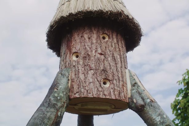 Meet the Hive Architect, the Carpenter Independently Installing Homes for Honeybees