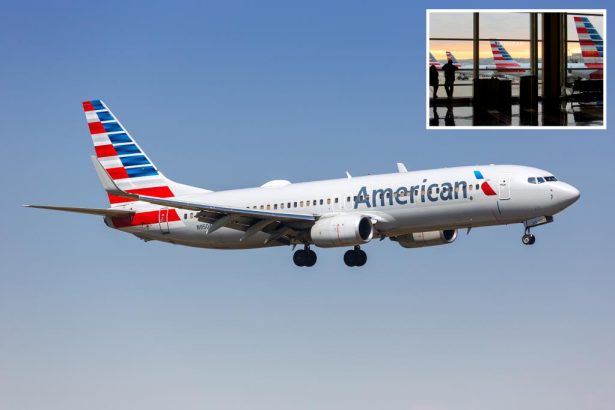 American Airlines failed to divert flight after passenger suffered debilitating stroke, forced to pay .6M in damages: jury