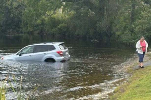 Car Rolls into Lake After Massachusetts Karen Forgets to Put Car in Park When She Gets Out to Heckle ICE Agents Arresting Illegal | The Gateway Pundit | by Kristinn Taylor