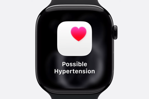 Hurricanes, Nor’easters, Subtropical Storms! What’s the Difference? 