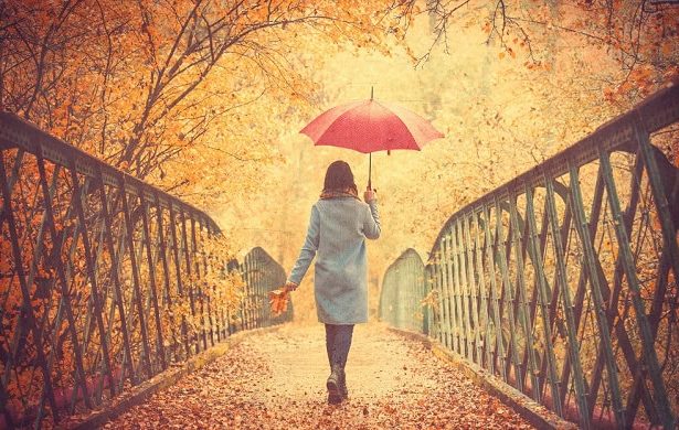 90 Inspirational November Quotes: Uplifting, Funny and Beautiful Sayings