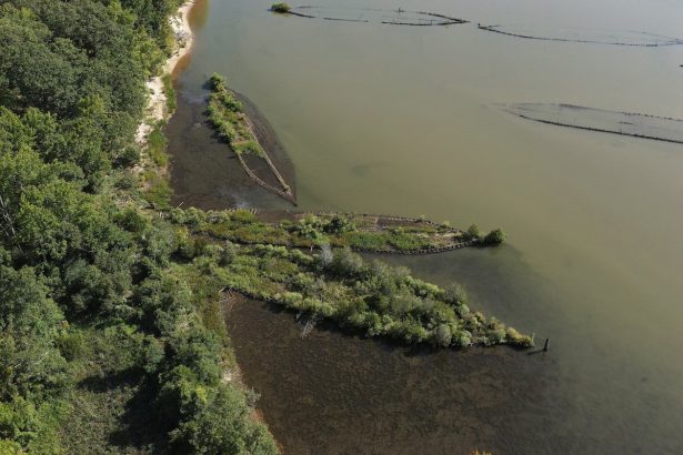 Drone Footage Reveals How History Became Habitat in the Potomac