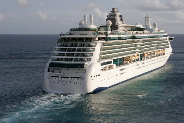 Over 70 Royal Caribbean cruise vacationers, crew sick from norovirus outbreak