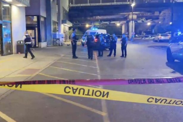 Girl, 17, shot outside South Loop grocery store
