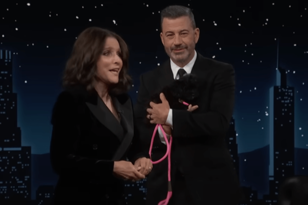 Jimmy Kimmel Thanks Trump for Record Ratings After Suspension; Julia Louis-Dreyfus Brings Host a Puppy Who’s a ‘Big Fan of the First Amendment’