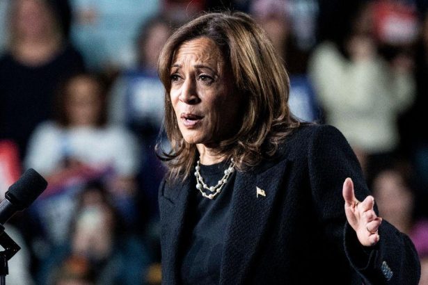 Kamala Harris Holds Back Tears as She Recalls 'Grieving' Following 'Traumatic' Election Loss to Donald Trump — 'It Was Very Difficult'