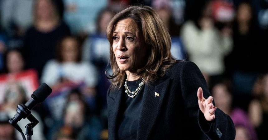 Kamala Harris Holds Back Tears as She Recalls 'Grieving' Following 'Traumatic' Election Loss to Donald Trump — 'It Was Very Difficult'