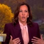 Kamala Harris claims she ‘didn’t have enough time’ to beat Trump in 2024 election