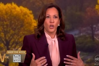 Kamala Harris claims she ‘didn’t have enough time’ to beat Trump in 2024 election