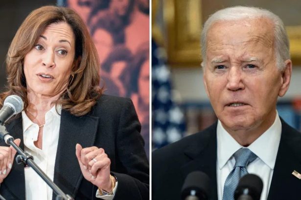 EXCLUSIVE: Inside Kamala Harris' 'Complicated' Relationship with Joe Biden — as His One-Time Veep Unloads on the 'Hurt and Disappointment' She Felt Taking Over His Campaign