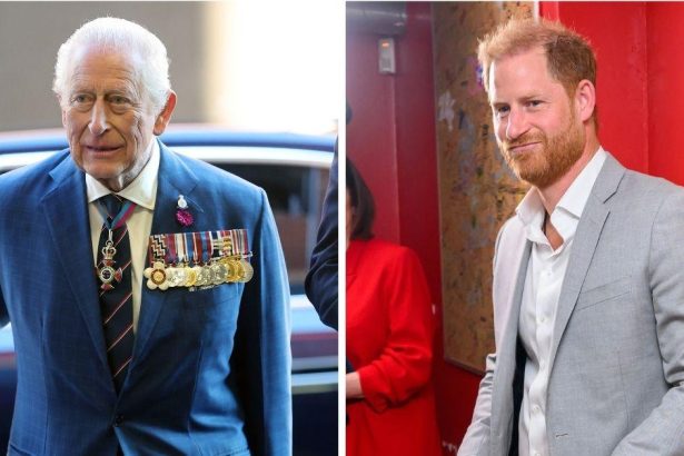EXCLUSIVE: King Charles' Brutal Secret Prince Harry Reunion U-Turn — 'The King Will NEVER Let Him Become Working Royal Anymore as He Represents Everything That Disgusts Him'
