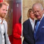 EXCLUSIVE: King Charles 'Dismayed, Shocked and Saddened' by Petulant Prince Harry's Latest 'Tantrum' Outburst at Royal Family's Aides