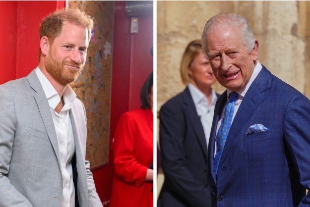 EXCLUSIVE: King Charles 'Dismayed, Shocked and Saddened' by Petulant Prince Harry's Latest 'Tantrum' Outburst at Royal Family's Aides