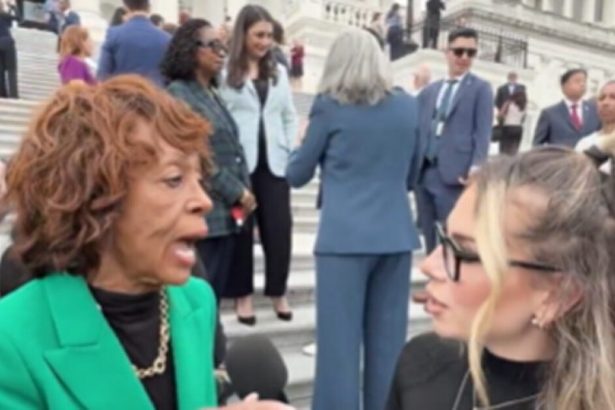 Maxine Waters Gets TESTY When Asked if Democrats Are Shutting Down Government Over Healthcare for Illegals (VIDEO) | The Gateway Pundit | by Mike LaChance