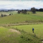 Beau Miles’ Marathon, Single-Day Planting Project Sprouts a New Forest in an Australian Field