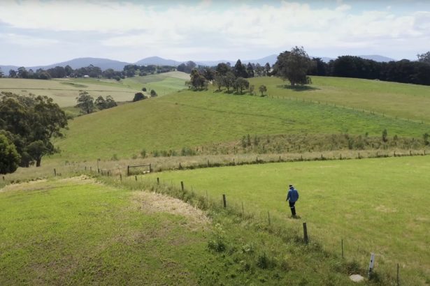 Beau Miles’ Marathon, Single-Day Planting Project Sprouts a New Forest in an Australian Field