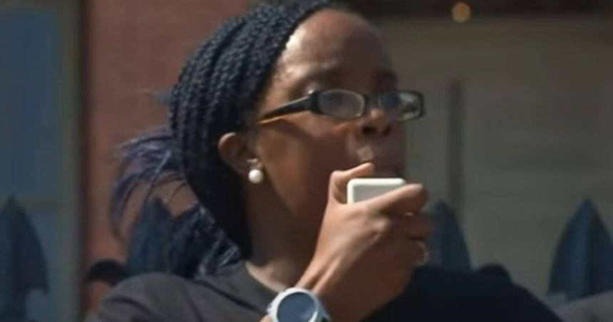 Black Lives Matter Activist in Boston Pleads Guilty to Federal Fraud Charges – Scammed Donors to Fund Her Lifestyle | The Gateway Pundit | by Mike LaChance