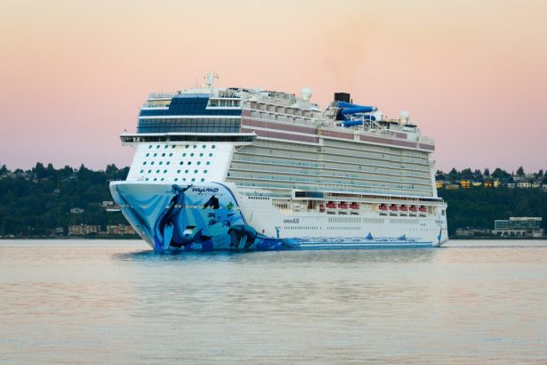 Shocking TikTok shows cruise passenger trapped inside water slide over roaring ocean