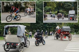 Notorious Central Park stretch even more dangerous after redesign, locals say: ‘ Like running the gauntlet’