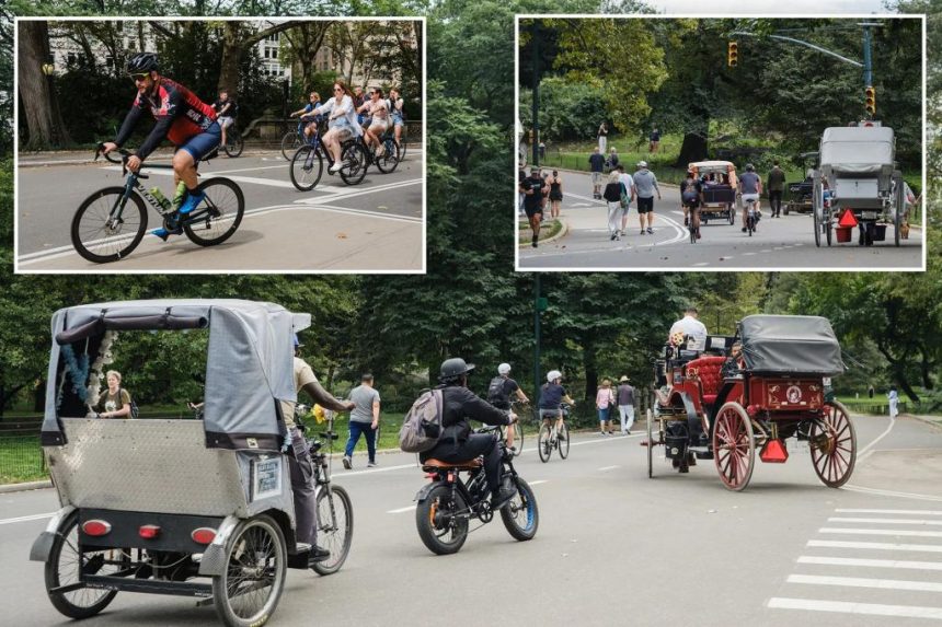 Notorious Central Park stretch even more dangerous after redesign, locals say: ‘ Like running the gauntlet’