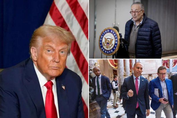 Dem leaders beg Trump for meeting as GOP stands firm in shutdown fight: ‘We know we’re not going to get everything’