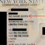 Oklahoma Governor Announces 130 Illegal Alien Truck Drivers Arrested in Sting, One CDL Read “No Name Given” | The Gateway Pundit | by Anthony Scott