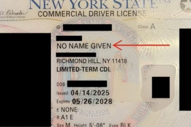 Oklahoma Governor Announces 130 Illegal Alien Truck Drivers Arrested in Sting, One CDL Read “No Name Given” | The Gateway Pundit | by Anthony Scott