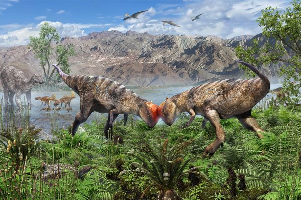 Meet the Oldest Dome-Headed Dinosaur Ever Found