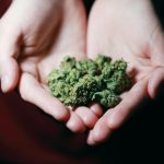 Local Officials Welcome Investment by Cannabis Brand in Middletown