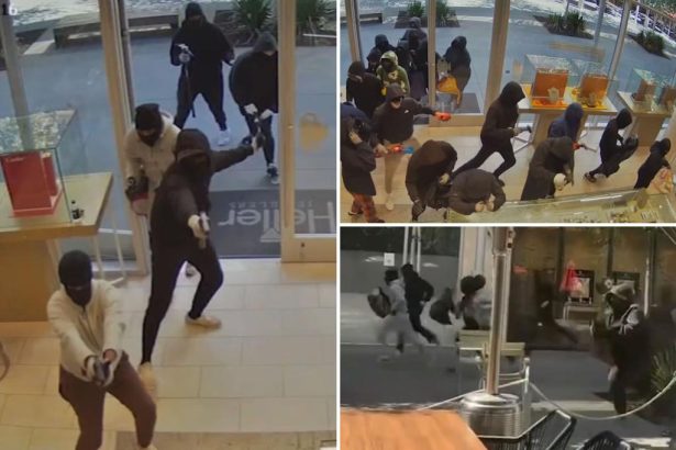 Wild video shows huge mob  storming California jewelry store in  M raid