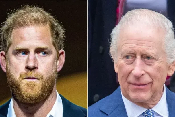 Prince Harry Breaks Down in Emotional Reunion with His Father King Charles After 19 Months Apart — But Feels Like an 'Official Visitor'