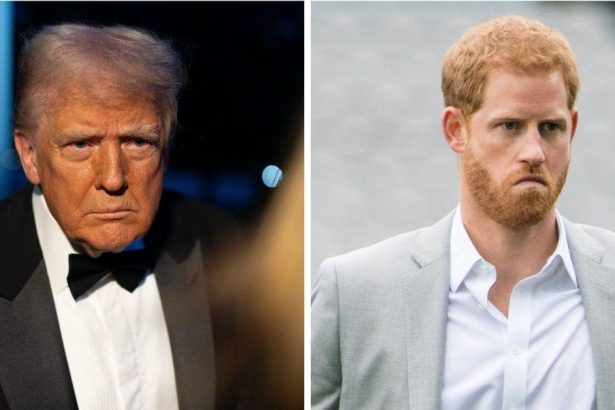 EXCLUSIVE: Prince Harry 'Still Quaking' He Could Be Booted Out of U.S. After Donald Trump Made Huge 'Dig' at Him During U.K. State Visit