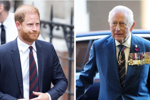 EXCLUSIVE: How Window for Prince Harry and King Charles' 'Official Reunion' is 'Already Banging Shut'