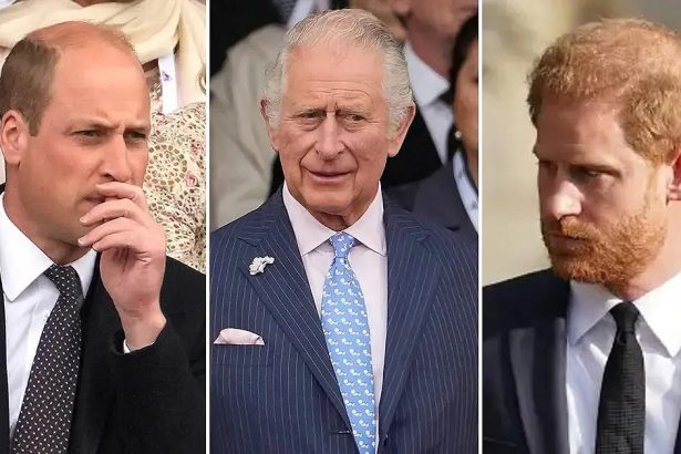 EXCLUSIVE: 'Frustrated' Prince William Left 'Disgusted' by Harry's Attempt to 'Manipulate' Cancer-Stricken Dad Charles During Reunion… as Future King Refuses to Welcome Back Brother