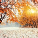 101 Short November Quotes: Uplifting, Funny and Inspirational Sayings to Welcome This Month