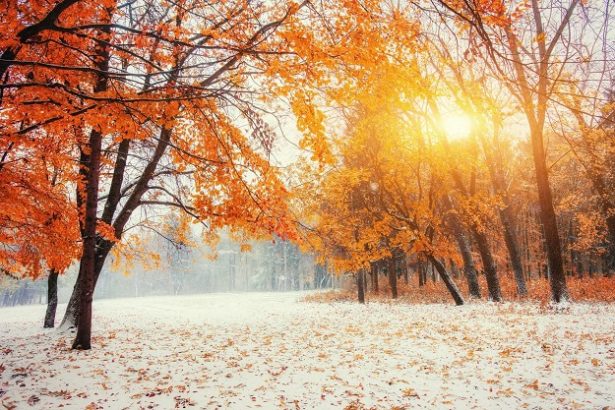 101 Short November Quotes: Uplifting, Funny and Inspirational Sayings to Welcome This Month
