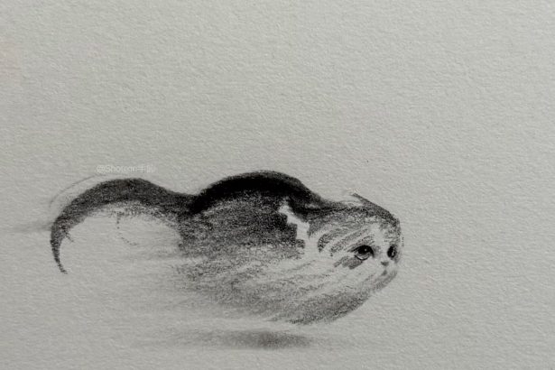 Expressive Kitties Emerge from Energetic Graphite Lines in Drawings by ShouXin