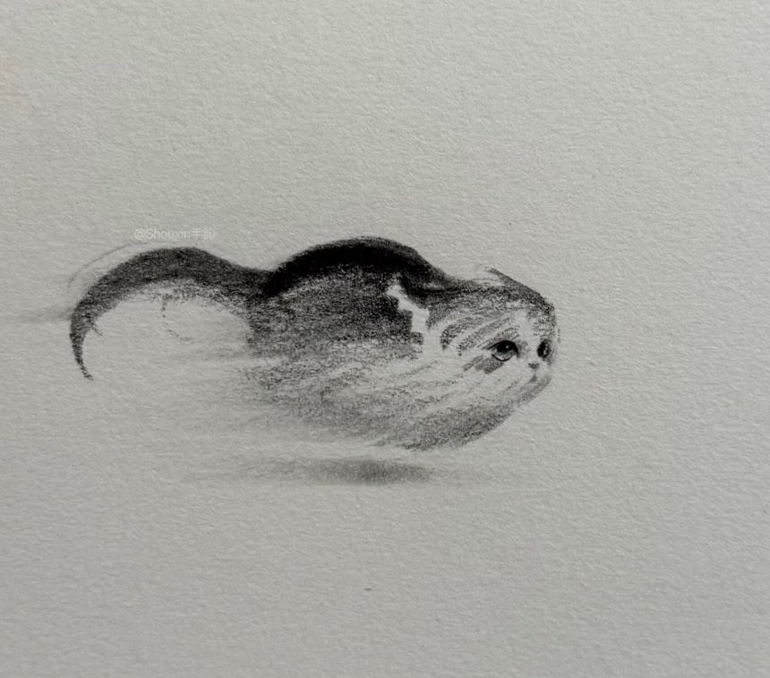 Expressive Kitties Emerge from Energetic Graphite Lines in Drawings by ShouXin
