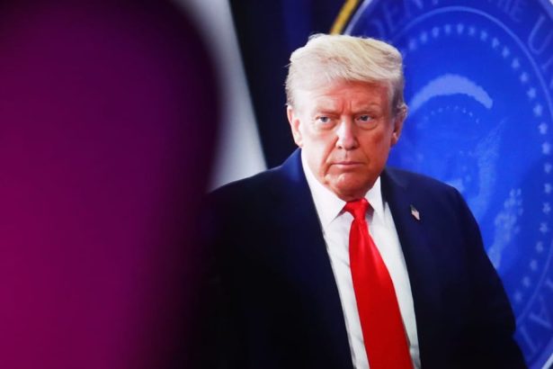 Trump Promises New Executive Order to Enforce Voter ID in Federal Elections—What to Know