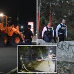Partial skeletal remains, including human skull, found near NYC strip mall: cops