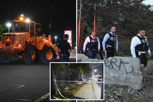 Partial skeletal remains, including human skull, found near NYC strip mall: cops
