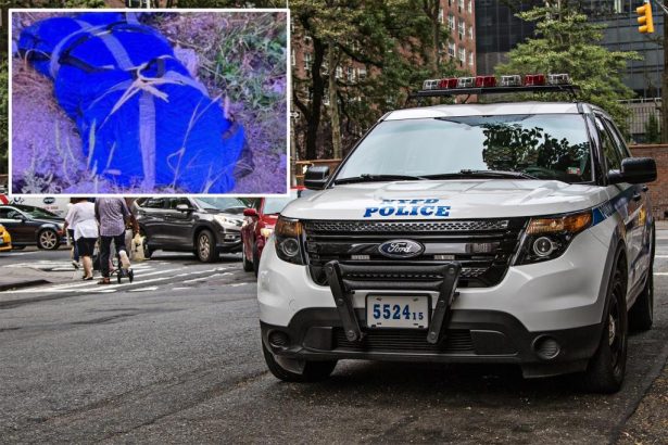 NYPD using distinct tattoos found on dismembered body in Queens to help ID victim