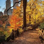 An Hour In Central Park: How To Take a Mini-Vacation In The Heart Of Manhattan