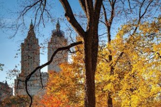 An Hour In Central Park: How To Take a Mini-Vacation In The Heart Of Manhattan