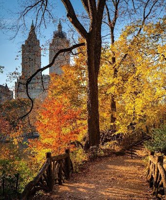 An Hour In Central Park: How To Take a Mini-Vacation In The Heart Of Manhattan