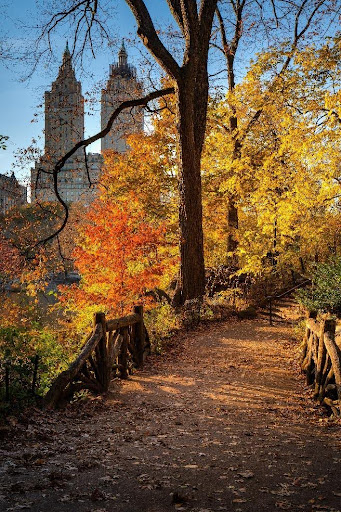 An Hour In Central Park: How To Take a Mini-Vacation In The Heart Of Manhattan
